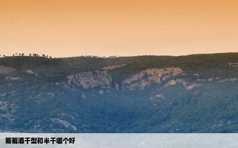 葡萄酒干型和半干哪个好