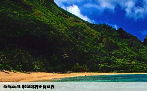 葡萄酒和山楂酒哪种更有营养