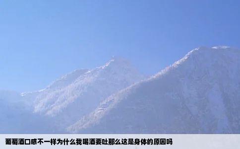 葡萄酒口感不一样为什么我喝酒要吐那么这是身体的原因吗