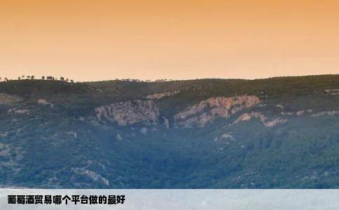 葡萄酒贸易哪个平台做的最好