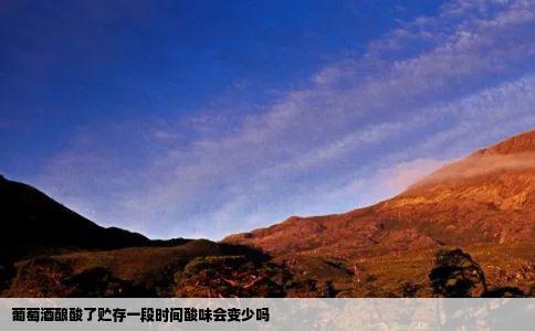 葡萄酒酿酸了贮存一段时间酸味会变少吗