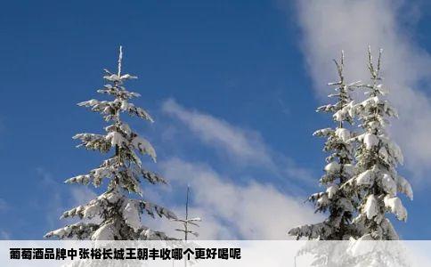 葡萄酒品牌中张裕、长城、王朝、丰收哪个更好喝呢