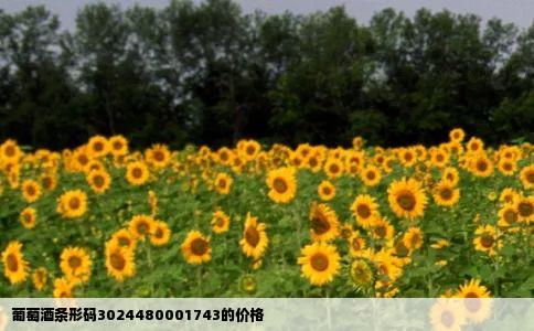 葡萄酒条形码3024480001743的价格