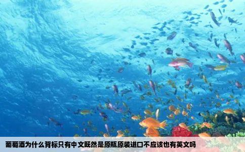 葡萄酒为什么背标只有中文既然是原瓶原装进口不应该也有英文吗