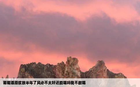 葡萄酒原浆放半年了风必不太好还能喝吗我不敢喝