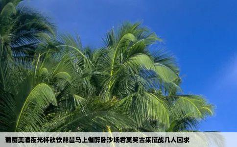 葡萄美酒夜光杯欲饮琵琶马上催醉卧沙场君莫笑古来征战几人回求