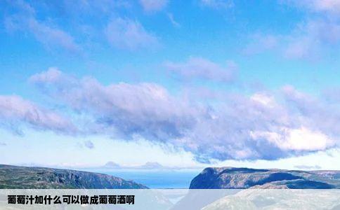 葡萄汁加什么可以做成葡萄酒啊