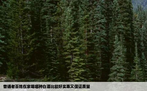 普通老百姓在家喝哪种白酒比较好实惠又保证质量