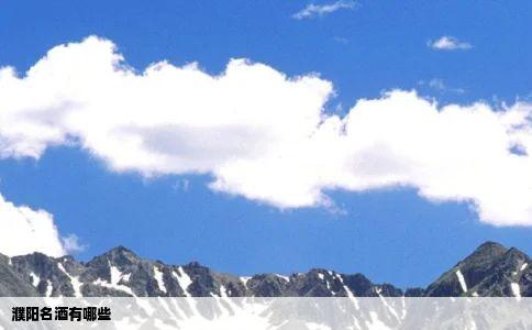 濮阳名酒有哪些