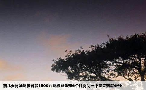 前几天我酒驾被罚款1500元驾驶证暂扣6个月我问一下交完罚款必须