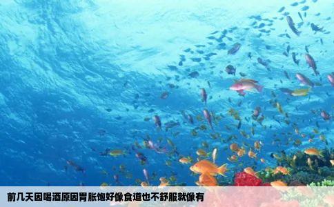 前几天因喝酒原因胃胀饱好像食道也不舒服就像有