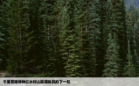 千里莺啼绿映红水村山郭酒旗风的下一句