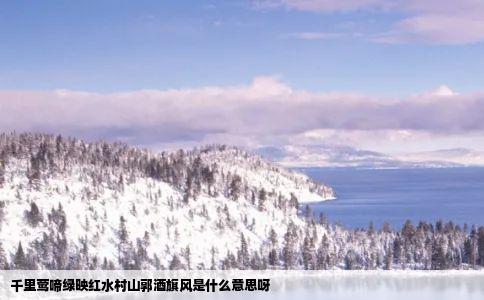 千里莺啼绿映红水村山郭酒旗风是什么意思呀