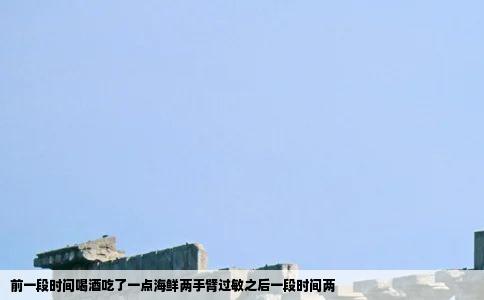 前一段时间喝酒吃了一点海鲜两手臂过敏之后一段时间两