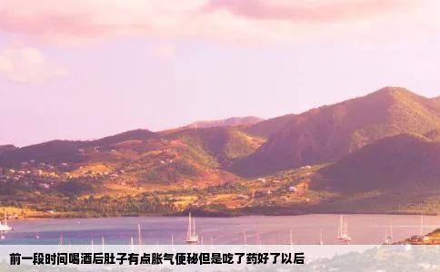 前一段时间喝酒后肚子有点胀气便秘但是吃了药好了以后