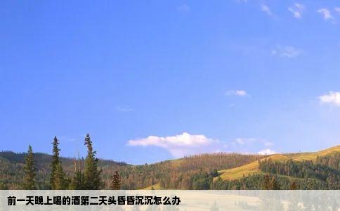 前一天晚上喝的酒第二天头昏昏沉沉怎么办