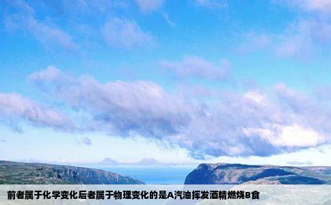 前者属于化学变化后者属于物理变化的是A汽油挥发酒精燃烧B食