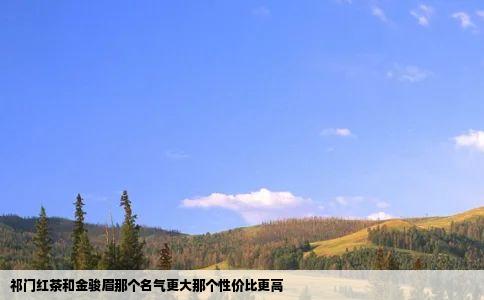 祁门红茶和金骏眉那个名气更大那个性价比更高