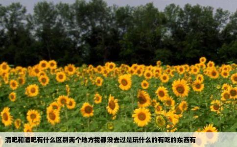 清吧和酒吧有什么区别两个地方我都没去过是玩什么的有吃的东西有