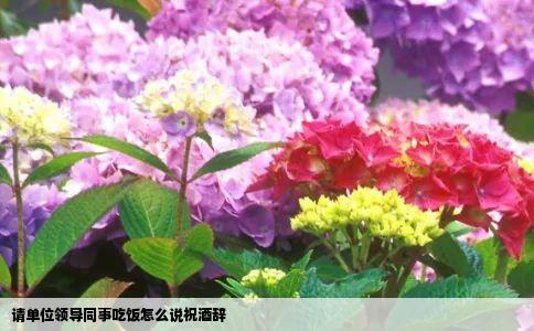 请单位领导同事吃饭怎么说祝酒辞