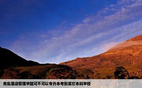 青岛酒店管理学院可不可以专升本考到其它本科学校