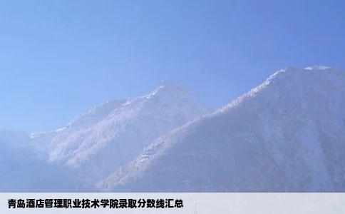 青岛酒店管理职业技术学院录取分数线汇总