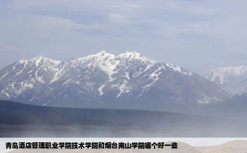 青岛酒店管理职业学院技术学院和烟台南山学院哪个好一些