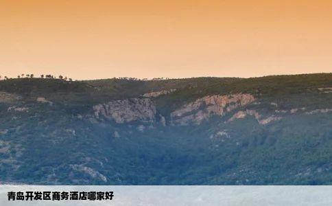 青岛开发区商务酒店哪家好