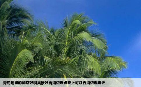 青岛哪里的酒店好啊风景好离海边近点晚上可以去海边逛逛还