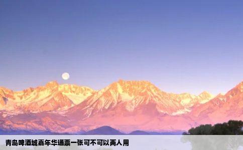 青岛啤酒城嘉年华通票一张可不可以两人用