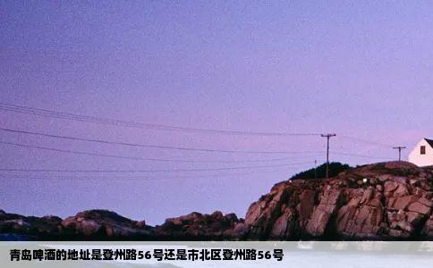 青岛啤酒的地址是登州路56号还是市北区登州路56号