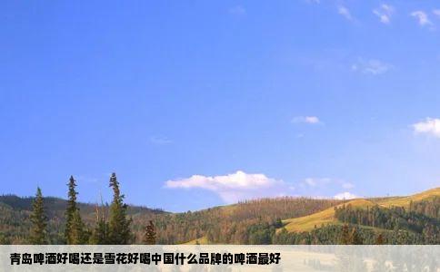 青岛啤酒好喝还是雪花好喝中国什么品牌的啤酒最好