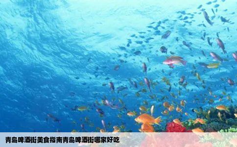 青岛啤酒街美食指南青岛啤酒街哪家好吃