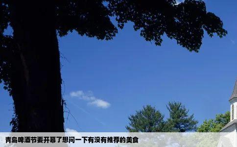 青岛啤酒节要开幕了想问一下有没有推荐的美食