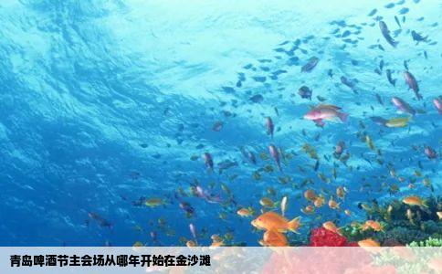 青岛啤酒节主会场从哪年开始在金沙滩