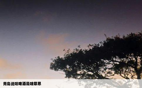 青岛说哈啤酒是啥意思