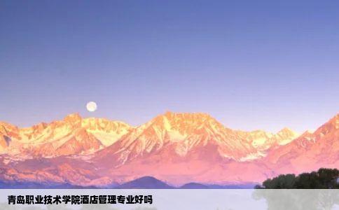 青岛职业技术学院酒店管理专业好吗