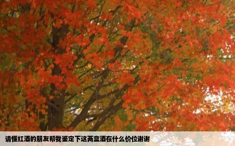 请懂红酒的朋友帮我鉴定下这两盒酒在什么价位谢谢