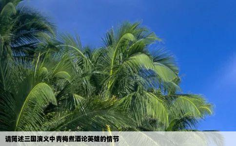 请简述三国演义中青梅煮酒论英雄的情节