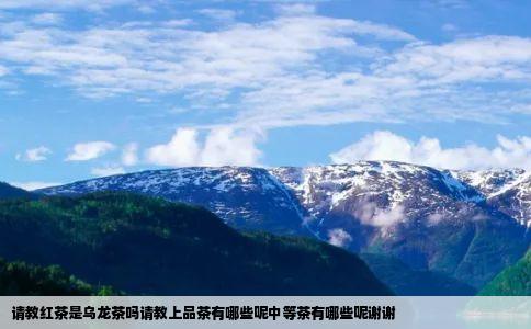 请教红茶是乌龙茶吗请教上品茶有哪些呢中等茶有哪些呢谢谢