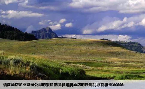 请教酒店企业管理公司的架构制度和附属酒店的各部门职能职责急急急