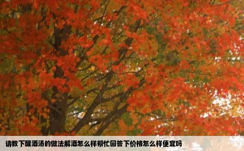 请教下醒酒汤的做法解酒怎么样帮忙回答下价格怎么样便宜吗