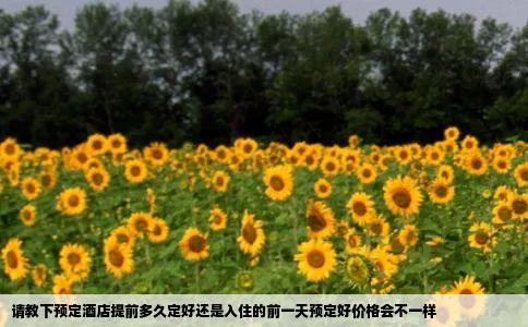请教下预定酒店提前多久定好还是入住的前一天预定好价格会不一样
