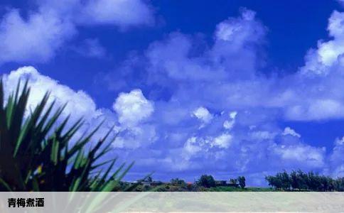 青梅煮酒