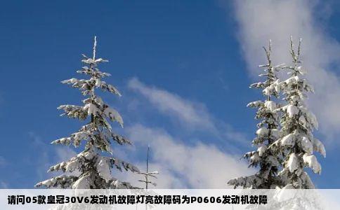 请问05款皇冠30V6发动机故障灯亮故障码为P0606发动机故障