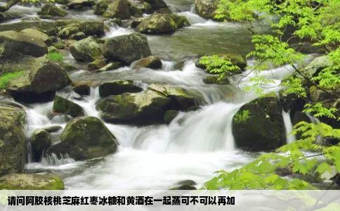 请问阿胶核桃芝麻红枣冰糖和黄酒在一起蒸可不可以再加