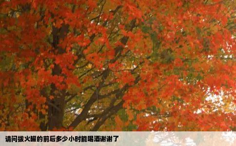 请问拔火罐的前后多少小时能喝酒谢谢了