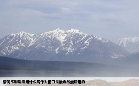 请问不想喝酒用什么病作为借口是最自然最管用的