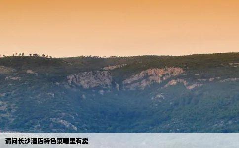 请问长沙酒店特色菜哪里有卖