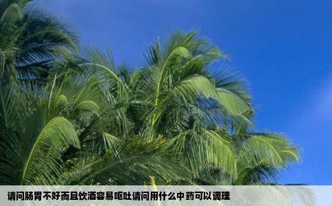 请问肠胃不好而且饮酒容易呕吐请问用什么中药可以调理